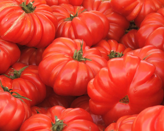 tomato-1056302
