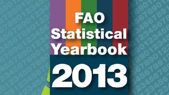 fao_statistical_yearbook_anuarul_statistic_2013_food_news_romania