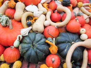 pumpkin-texture-food_news_romania